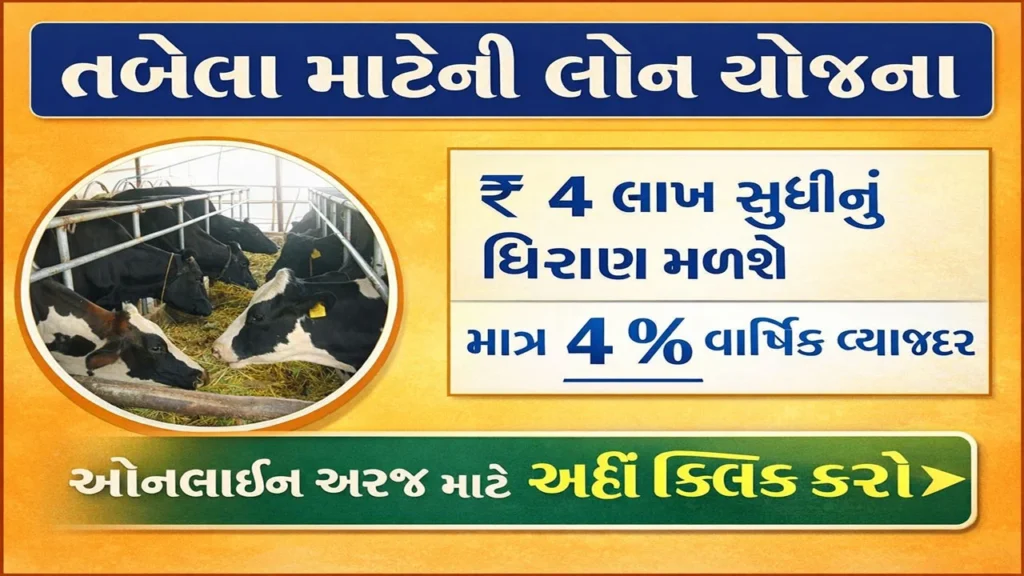 Tabela Loan Yojana 2025